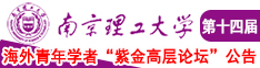 亚州逼逼南京理工大学第十四届海外青年学者紫金论坛诚邀海内外英才！